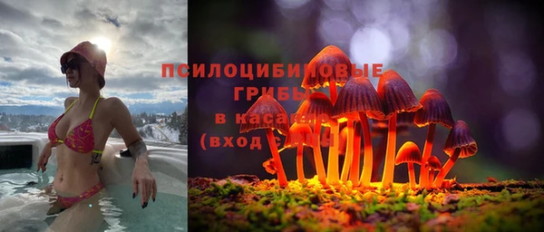а пвп мука Баксан